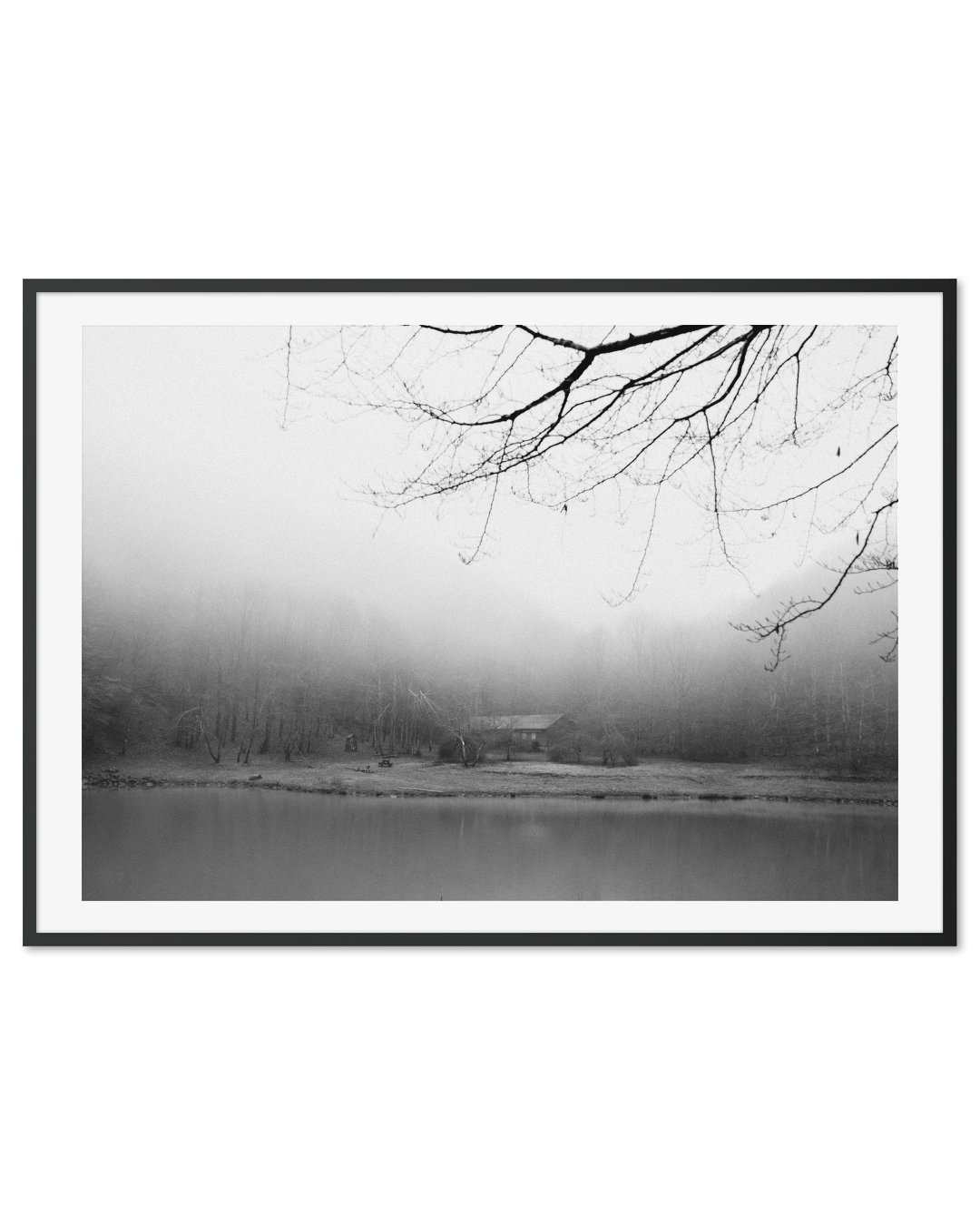 Paesaggio nella nebbia