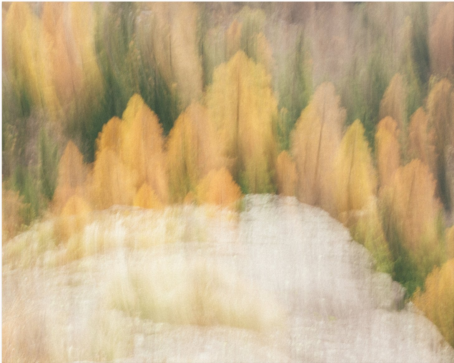Semi-Abstract