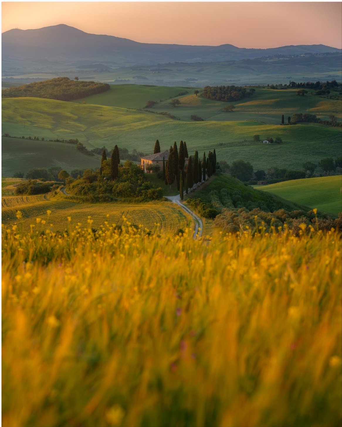 La Dolce Vita