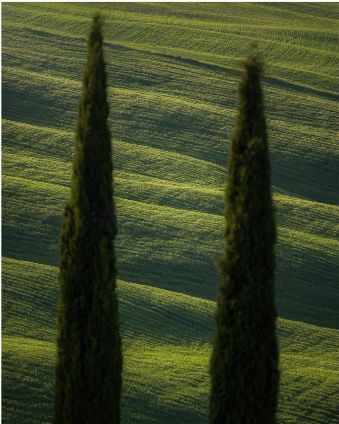 La Dolce Vita