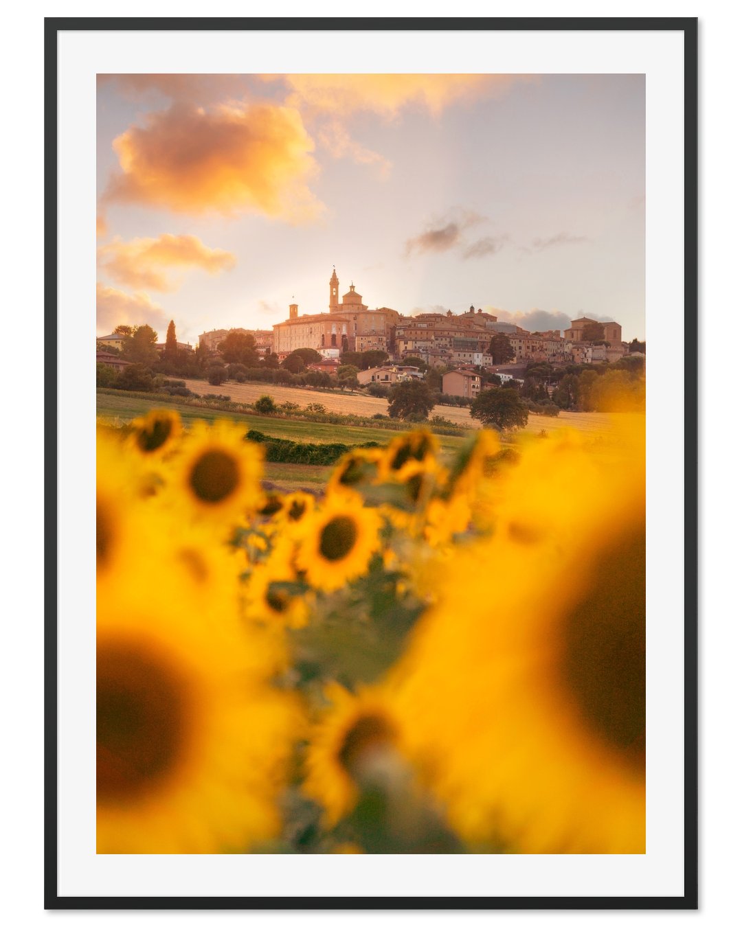 Sunflowers & history