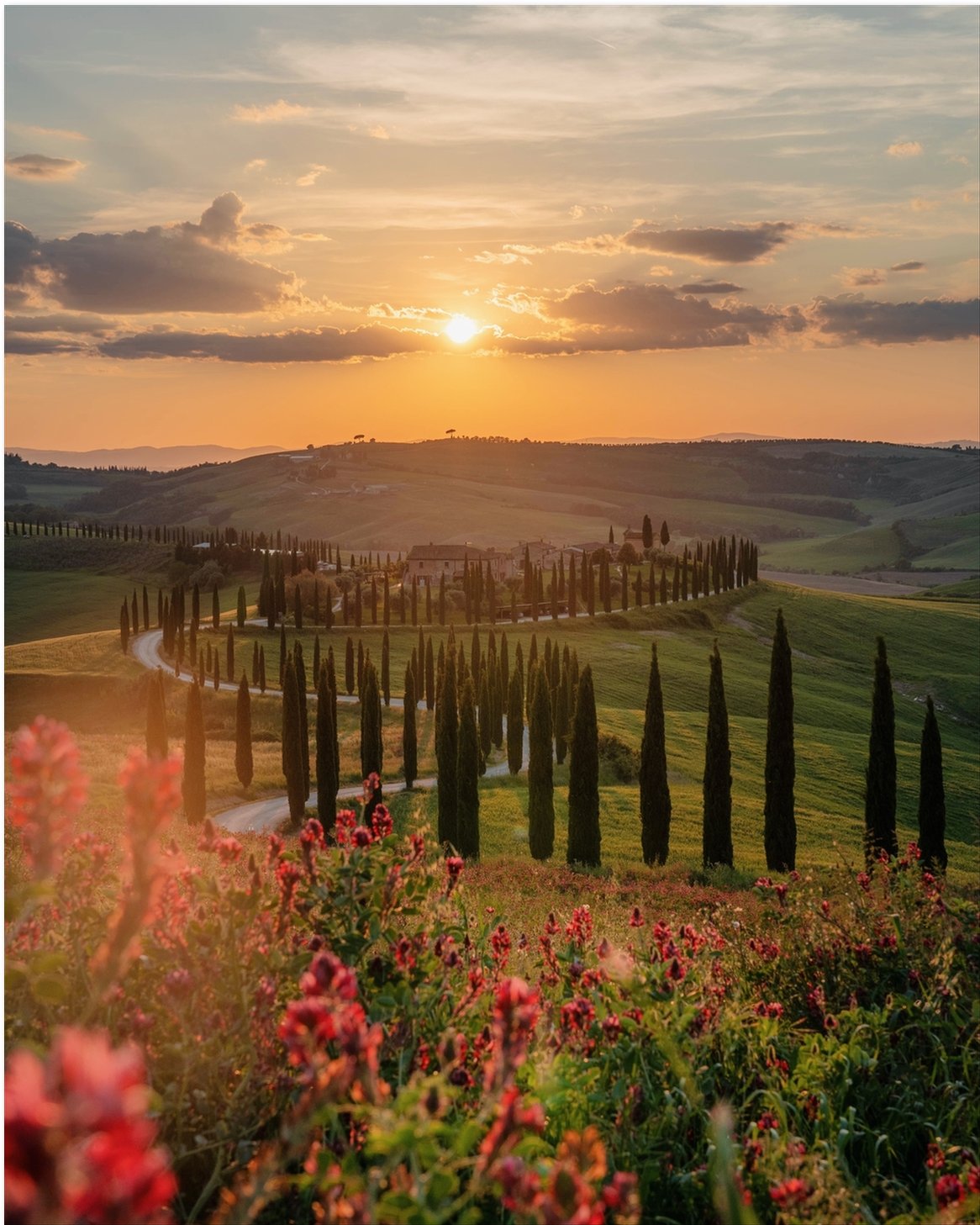 Tuscan Hills