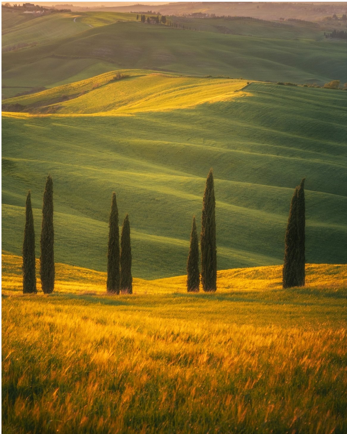 La Dolce Vita