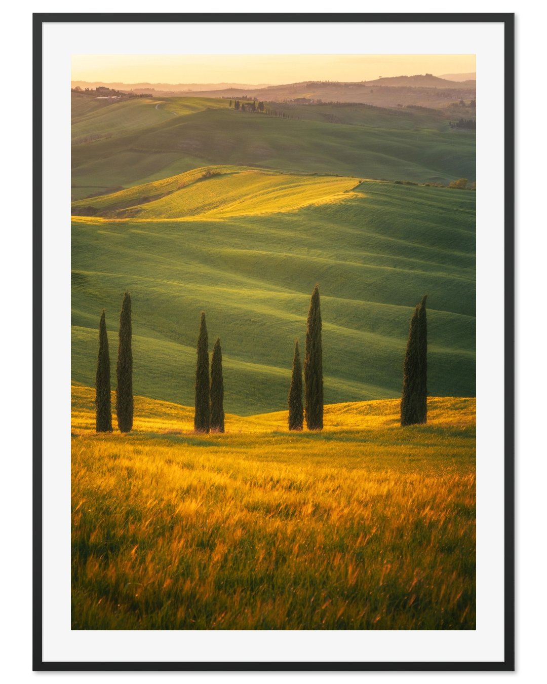 Cipressi sunset