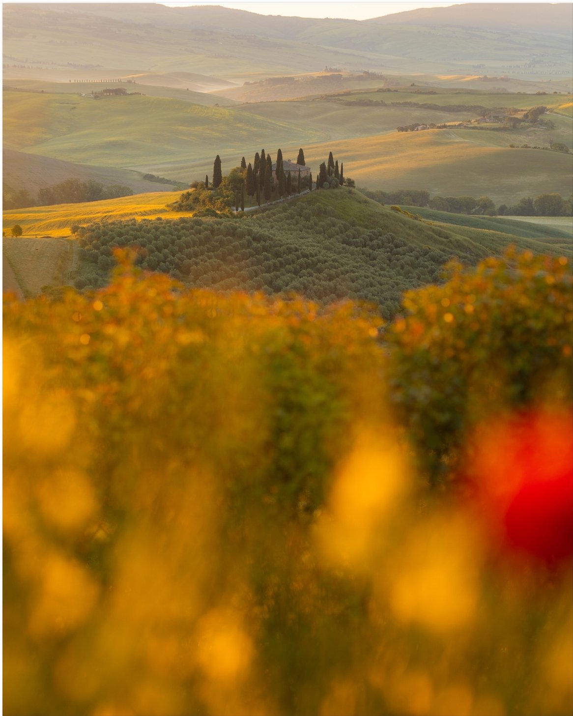 La Dolce Vita