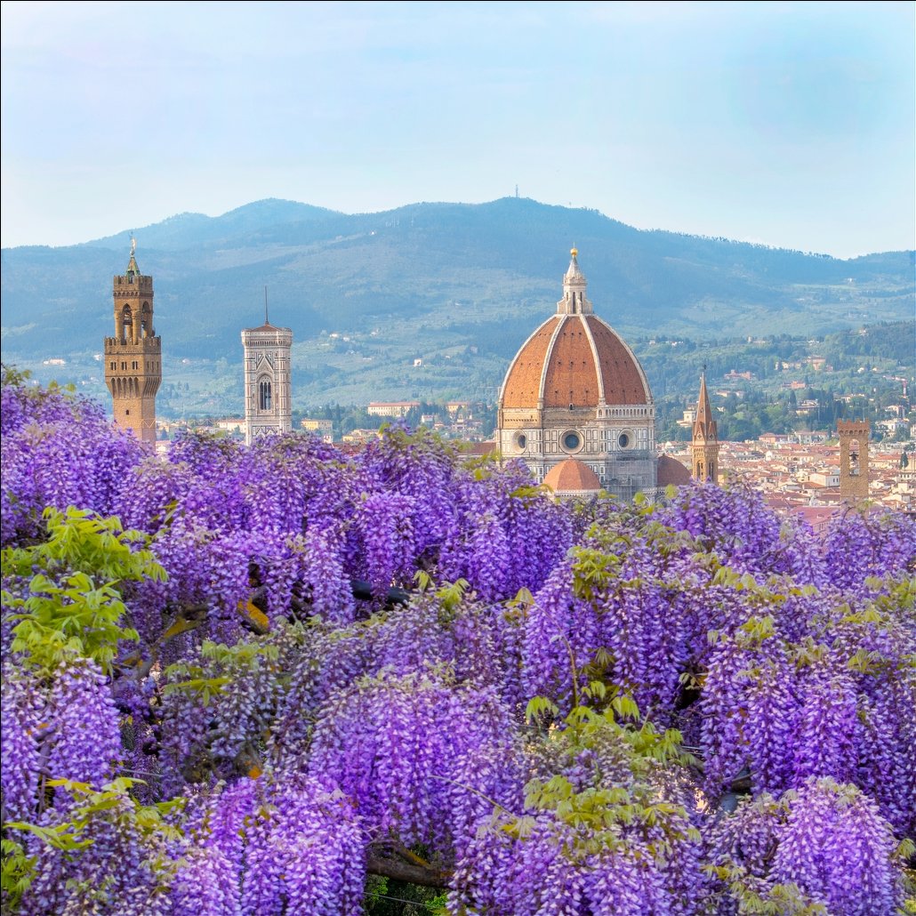 Tuscan Hills