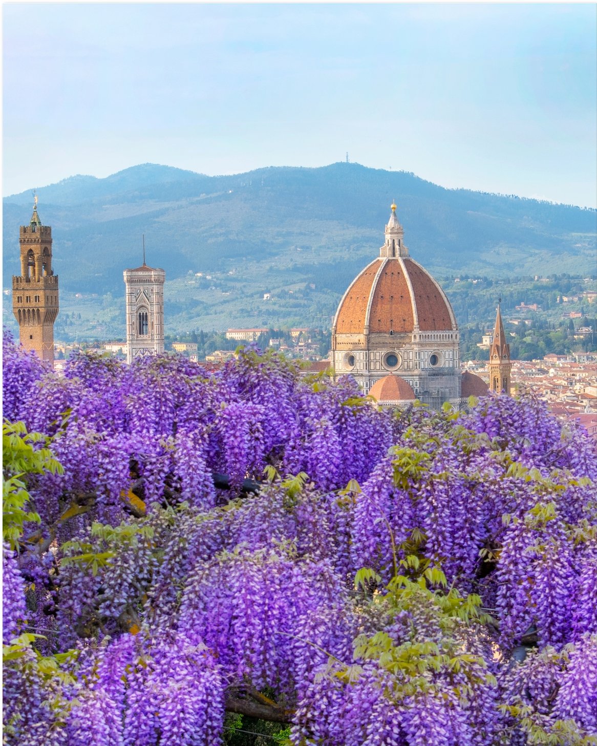 Tuscan Hills