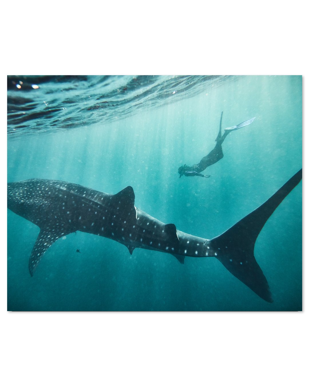 UNDERWATER