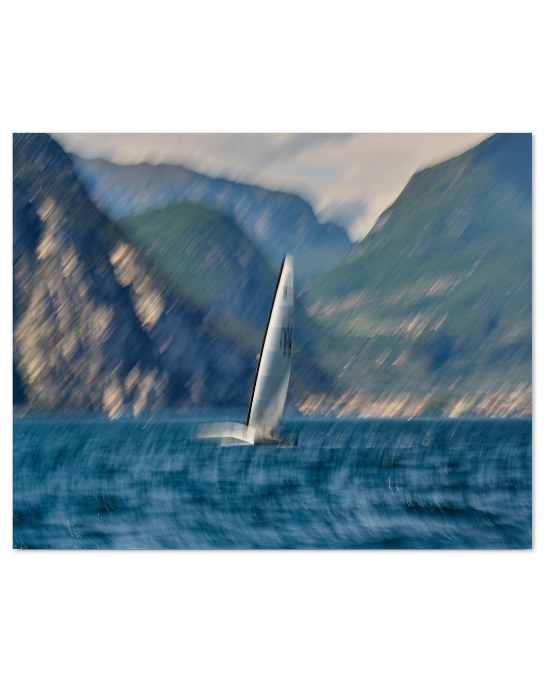A CAT LAKE GARDA