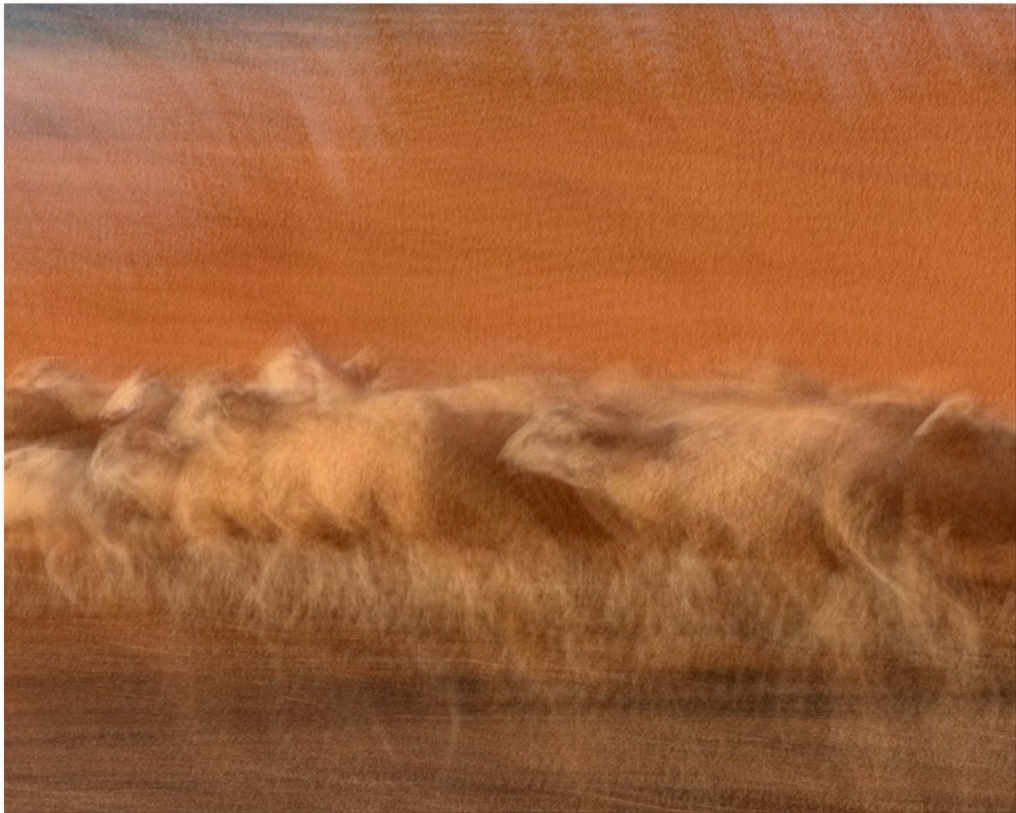 Orange