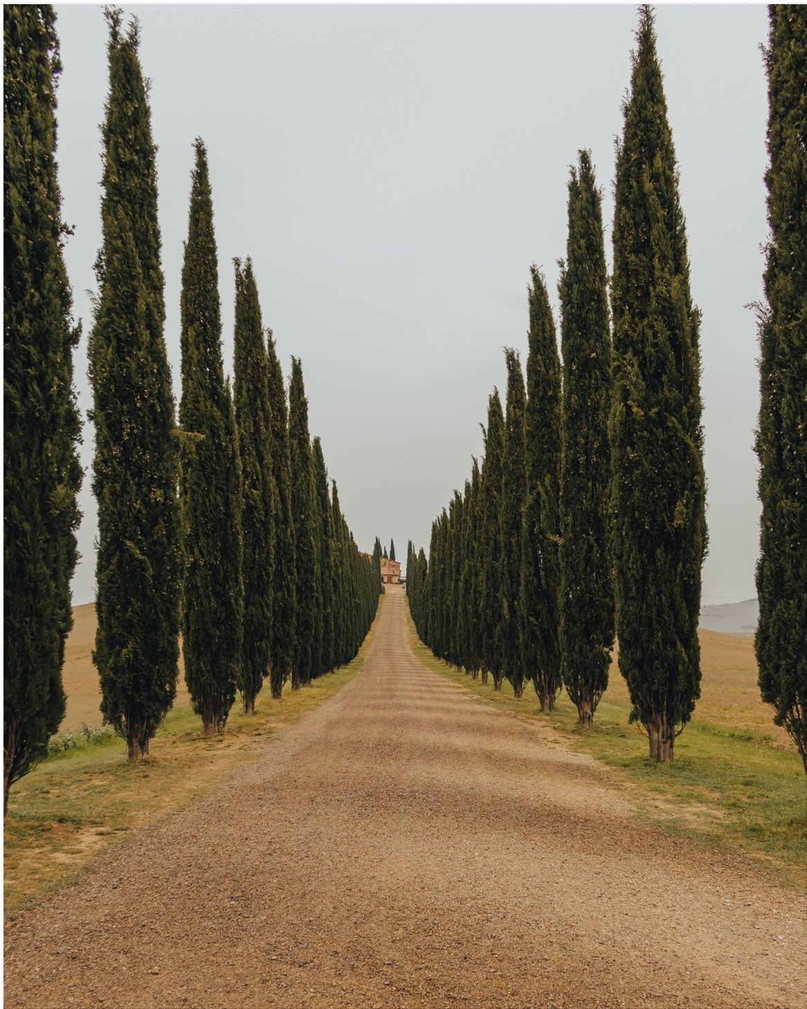La Dolce Vita