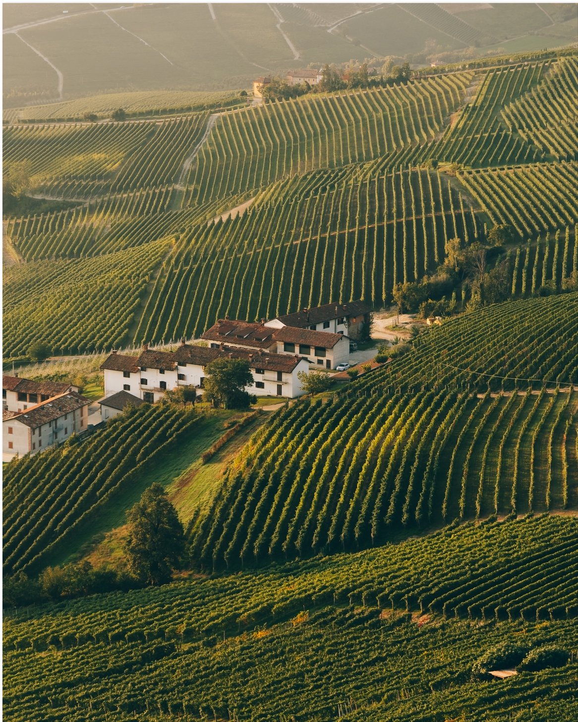 Tuscan Hills