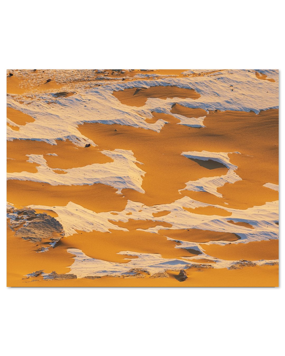 The White Desert