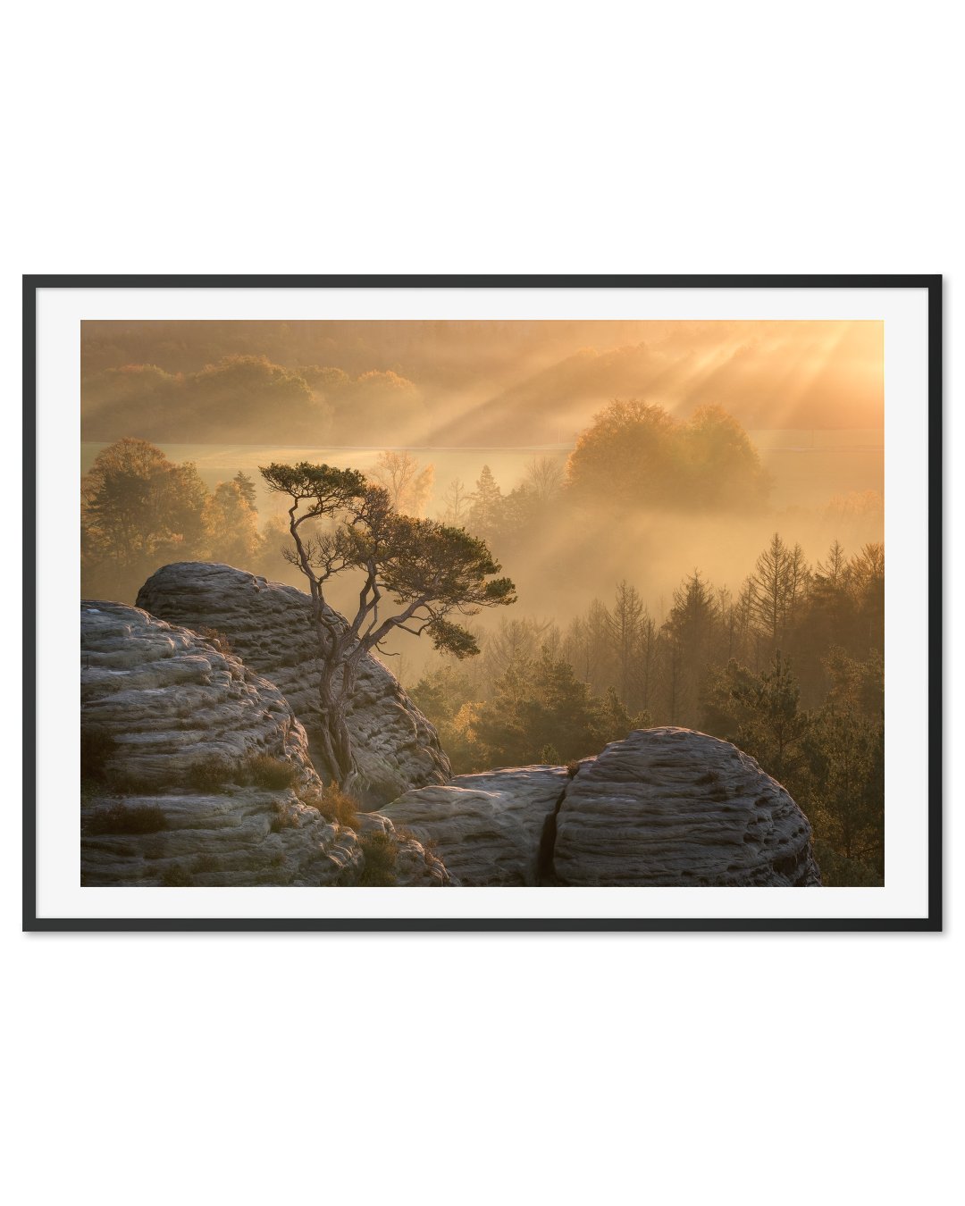 Sunrise in the mountains
