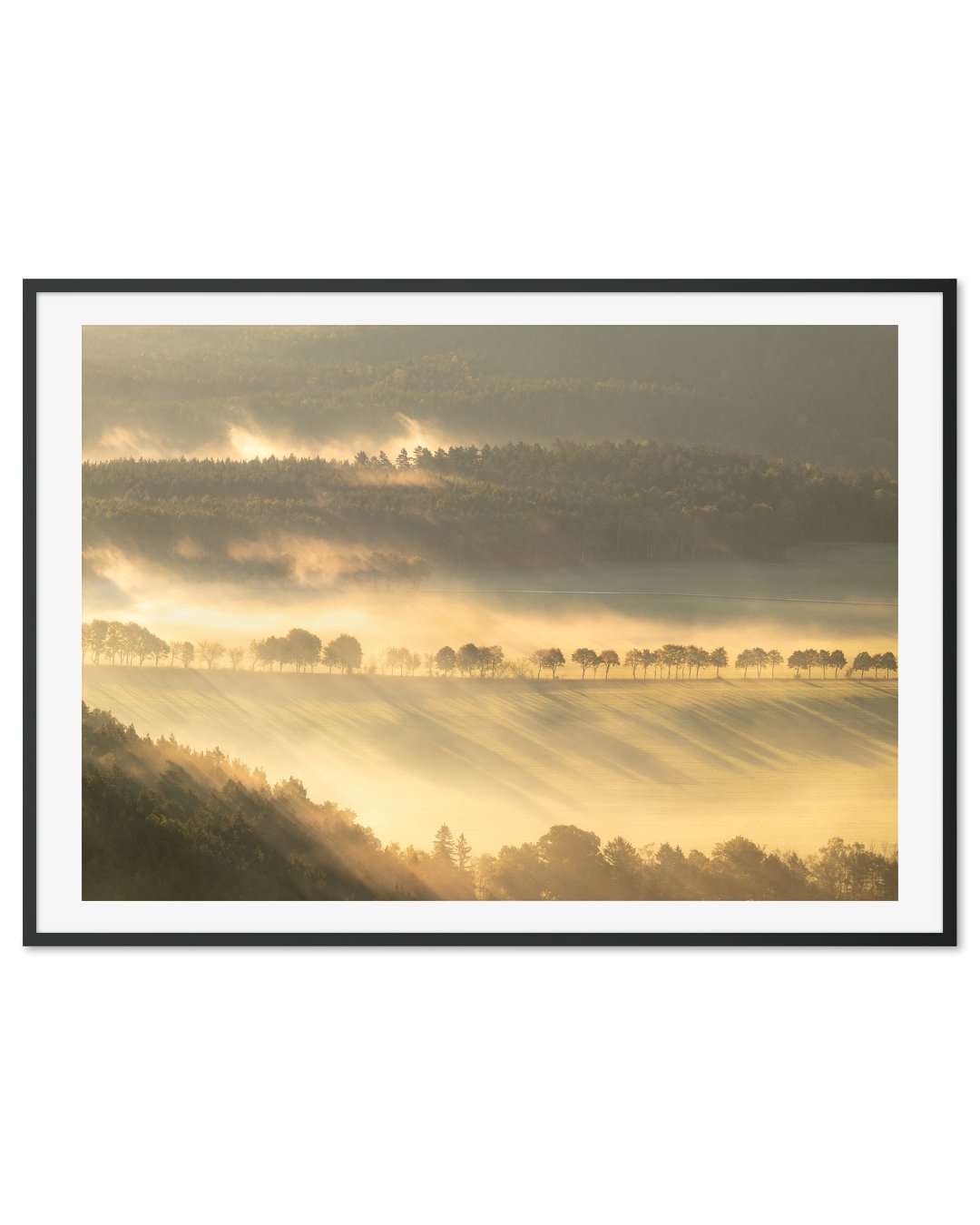 Morning light in Saxon Switzerland