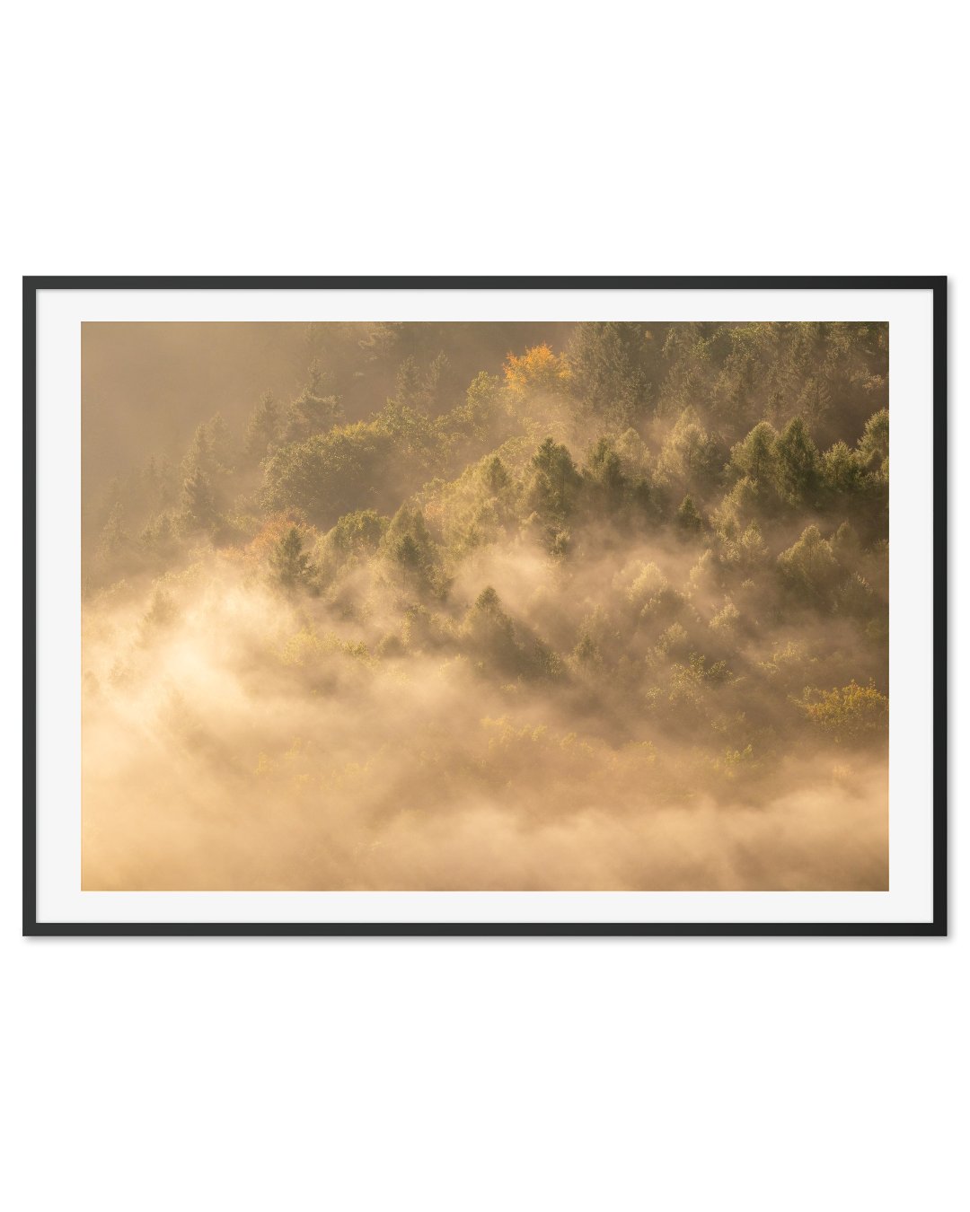 Morning light in Saxon Switzerland
