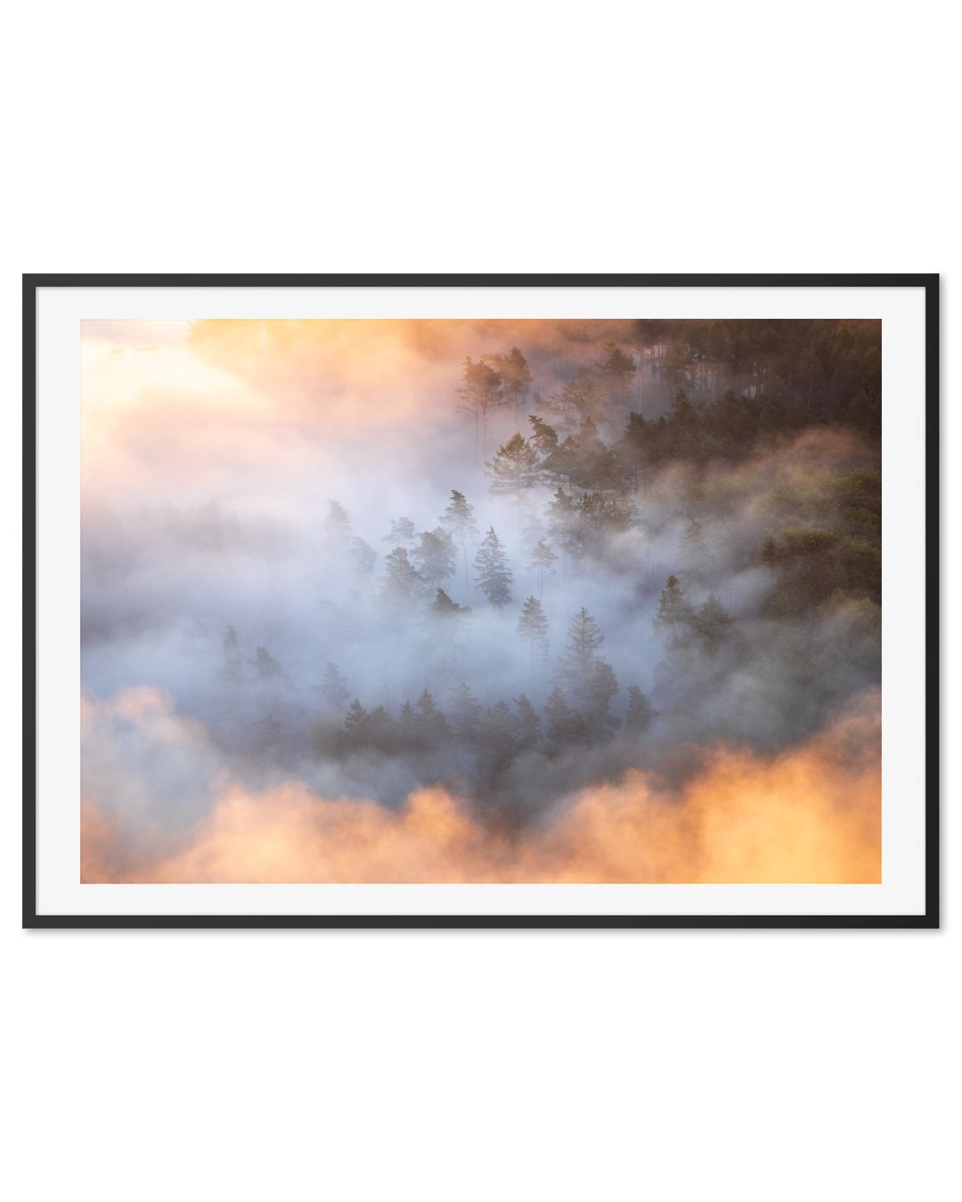 Enchanted Forest: A Misty Dawn