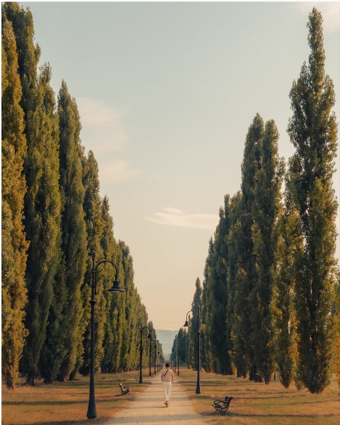 La Dolce Vita