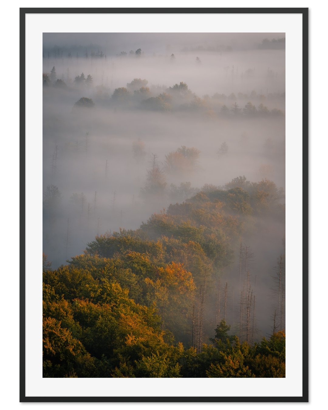 Whispers of Autumn in Saxon Switzerland