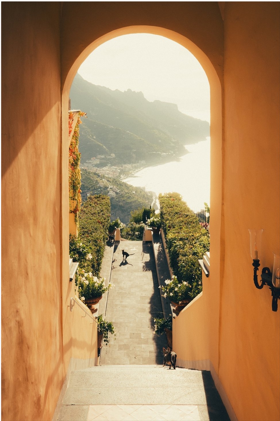 Dolce Vita