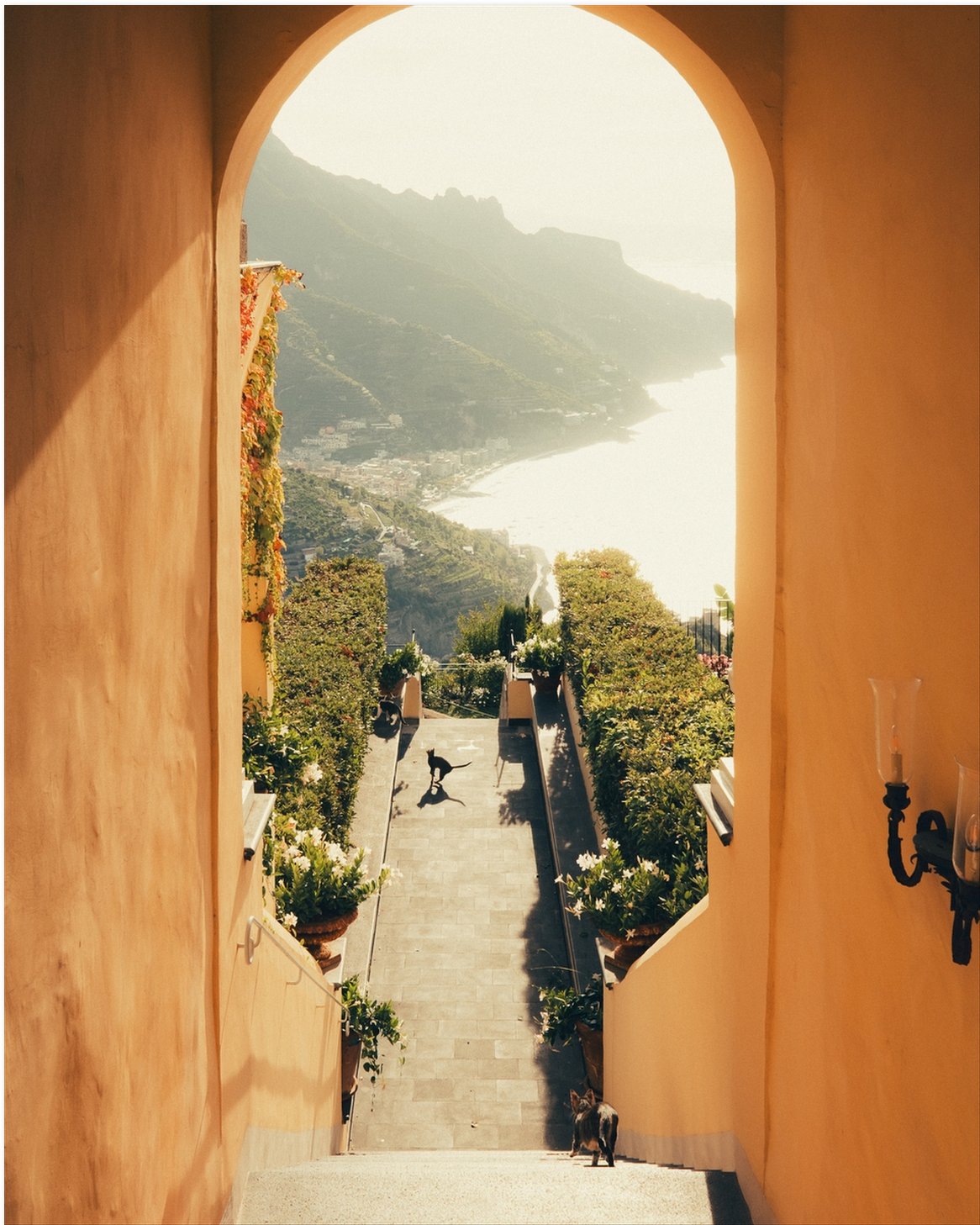 La Dolce Vita