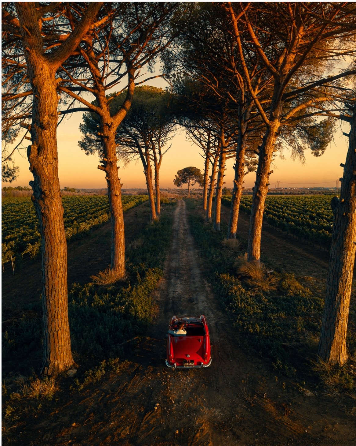 La Dolce Vita