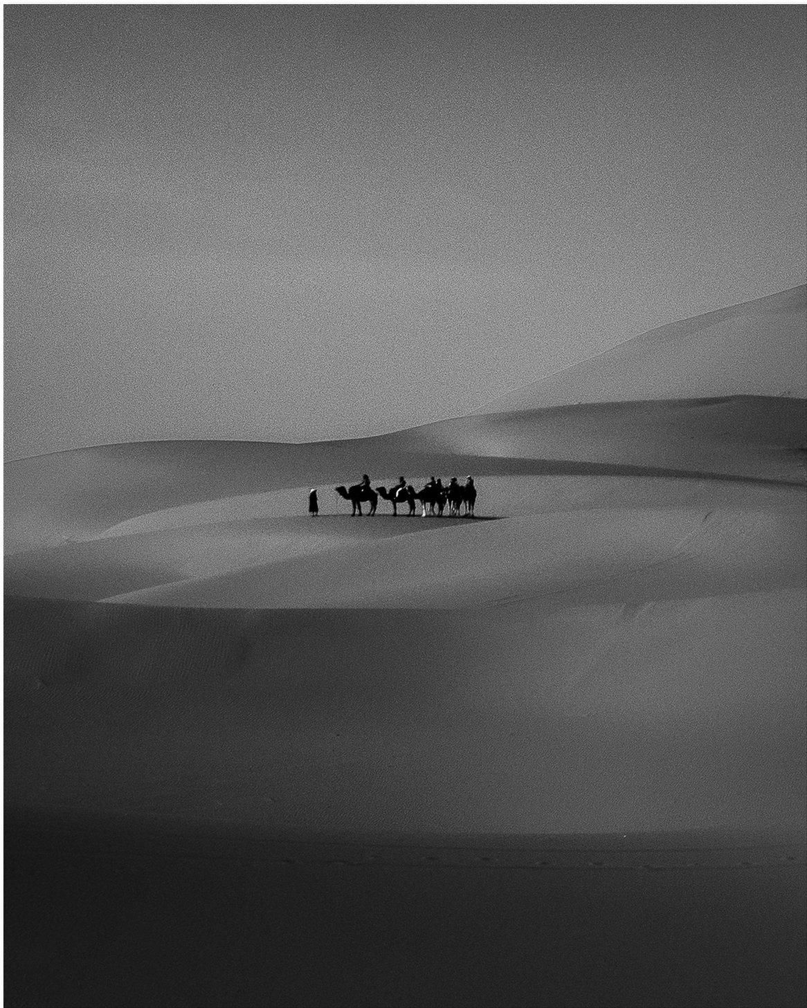 Desert
