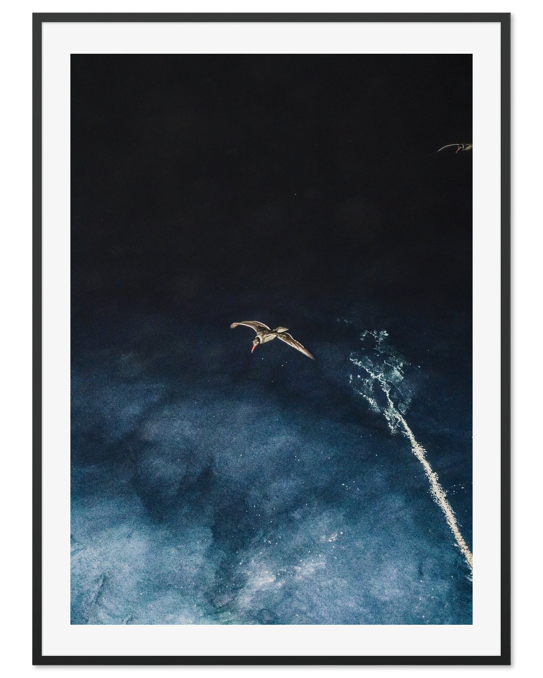 Night Sentries