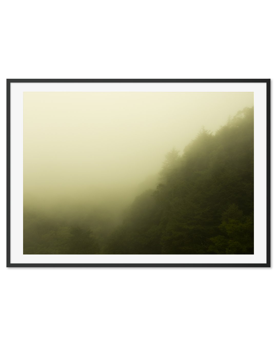 Misty